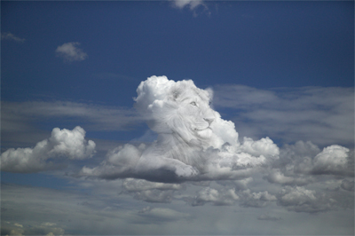 lion king cloud